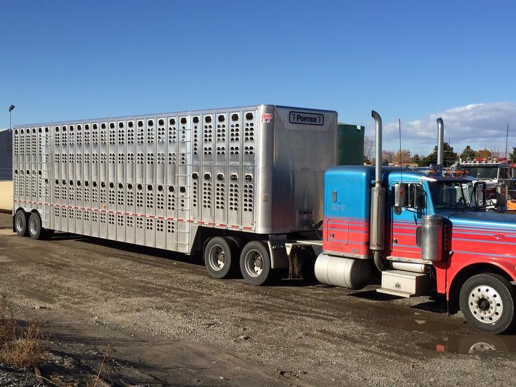 Livestock Network Cattle Trailers For Sale Cattle Trucking Jobs